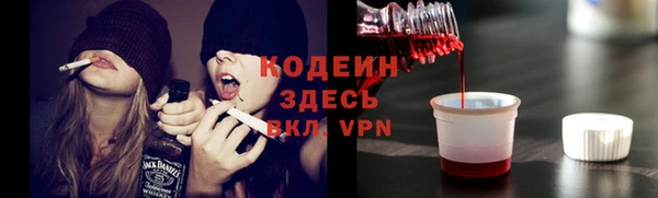 ПСИЛОЦИБИНОВЫЕ ГРИБЫ Алексеевка