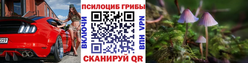 блэк спрут сайт Бологое Галлюциногенные грибы MAGIC MUSHROOMS